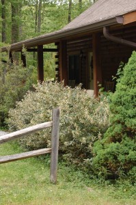 Shrubbery Staff Cabin